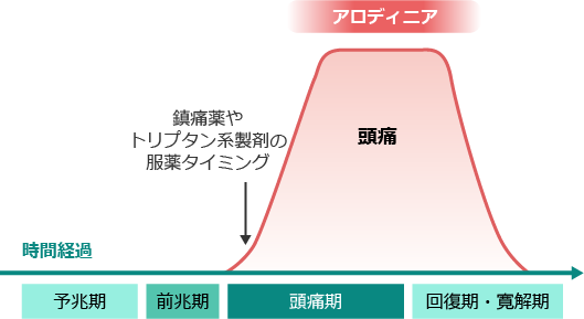 鎮痛薬やトリプタン系製剤の服薬タイミング